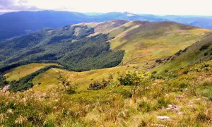 Widok na połoniny i lasy Bieszczad. Który szlak wybrać, by podziwiać tę panoramę?