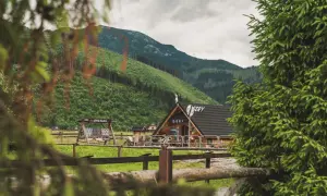Drewniana bacówka z napisem "Sery" na tle zielonych Tatr.