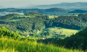 Góry Sowie zachwycają zielonymi wzgórzami i lasami. Warto zobaczyć urokliwe wioski ukryte w dolinach i malownicze krajobrazy.