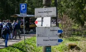 Drewniany słup z drogowskazami szlaków turystycznych w Tatrach: Palenica Białczańska, Morskie Oko, Zazadnia, Polana Rusinowa.