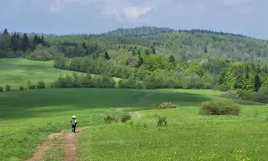 Wędrowiec na ścieżce przez zielone łąki Beskidu, w oddali lasy i wzgórza, jakby patrzył na świat z bacówki.