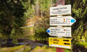 Znaki szlaków turystycznych w Tatrach: czarny, biały i niebieski wskazują różne trasy. Na zdjęciu widać drogowskazy do Czarnego Potoku, Białego Splawu i Nowej Bieli.