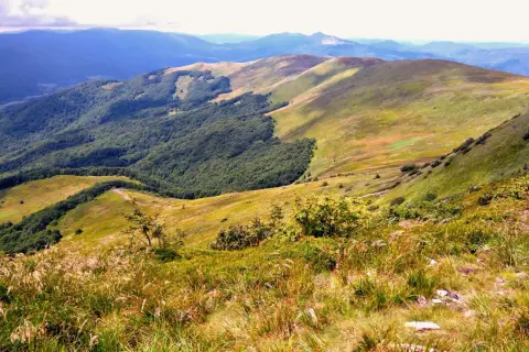 Widok na połoniny i lasy Bieszczad. Który szlak wybrać, by podziwiać tę panoramę?