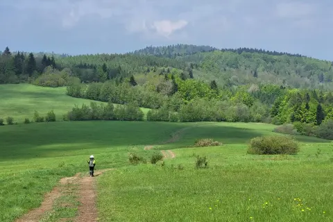 Wędrowiec na ścieżce przez zielone łąki Beskidu, w oddali lasy i wzgórza, jakby patrzył na świat z bacówki.