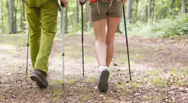 Para wędrówki w góry latem: mężczyzna w zielonych spodniach, kobieta w krótkich spodenkach, oboje z kijkami trekkingowymi, idą leśną ścieżką.