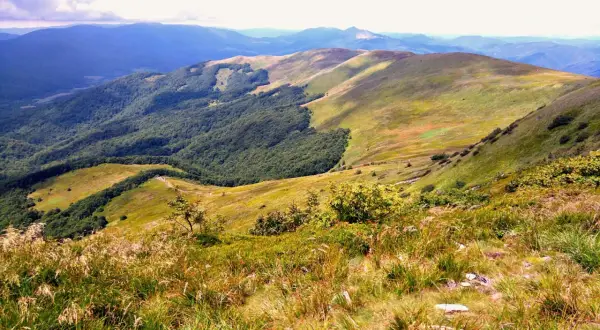 Widok na połoniny i lasy Bieszczad. Który szlak wybrać, by podziwiać tę panoramę?