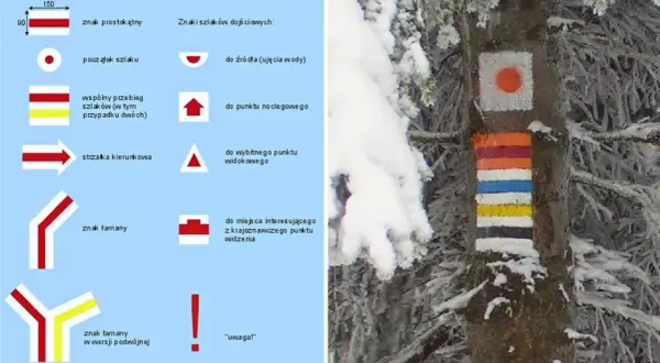 Kolorowe znaki szlaków turystycznych PTTK namalowane na drzewie w zimowej scenerii.