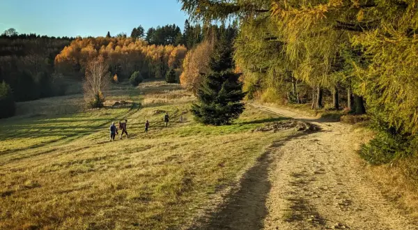 Jesienny spacer po górach. Grupa turystów idzie ścieżką w kierunku bacówki na obidzy, otoczonej kolorowymi drzewami.
