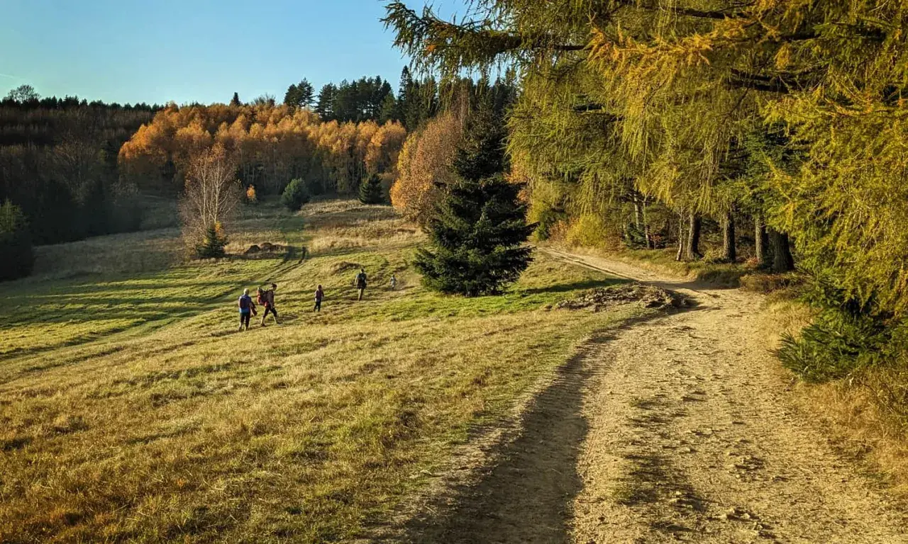 Jesienny spacer po górach. Grupa turystów idzie ścieżką w kierunku bacówki na obidzy, otoczonej kolorowymi drzewami.