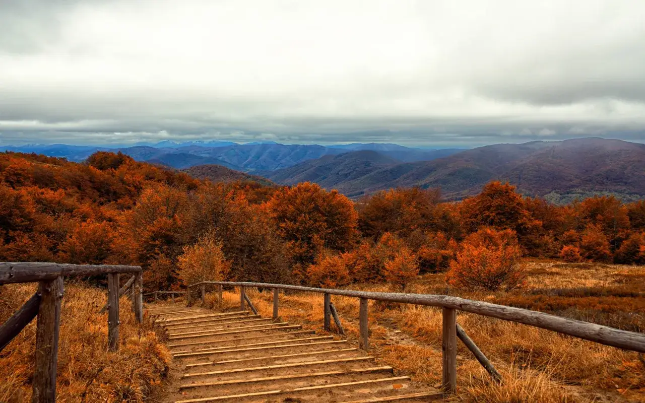 Jesienne Bieszczady, schody prowadzące w dół. Idealne miejsce na tarnica gdzie nocleg, by podziwiać widoki.