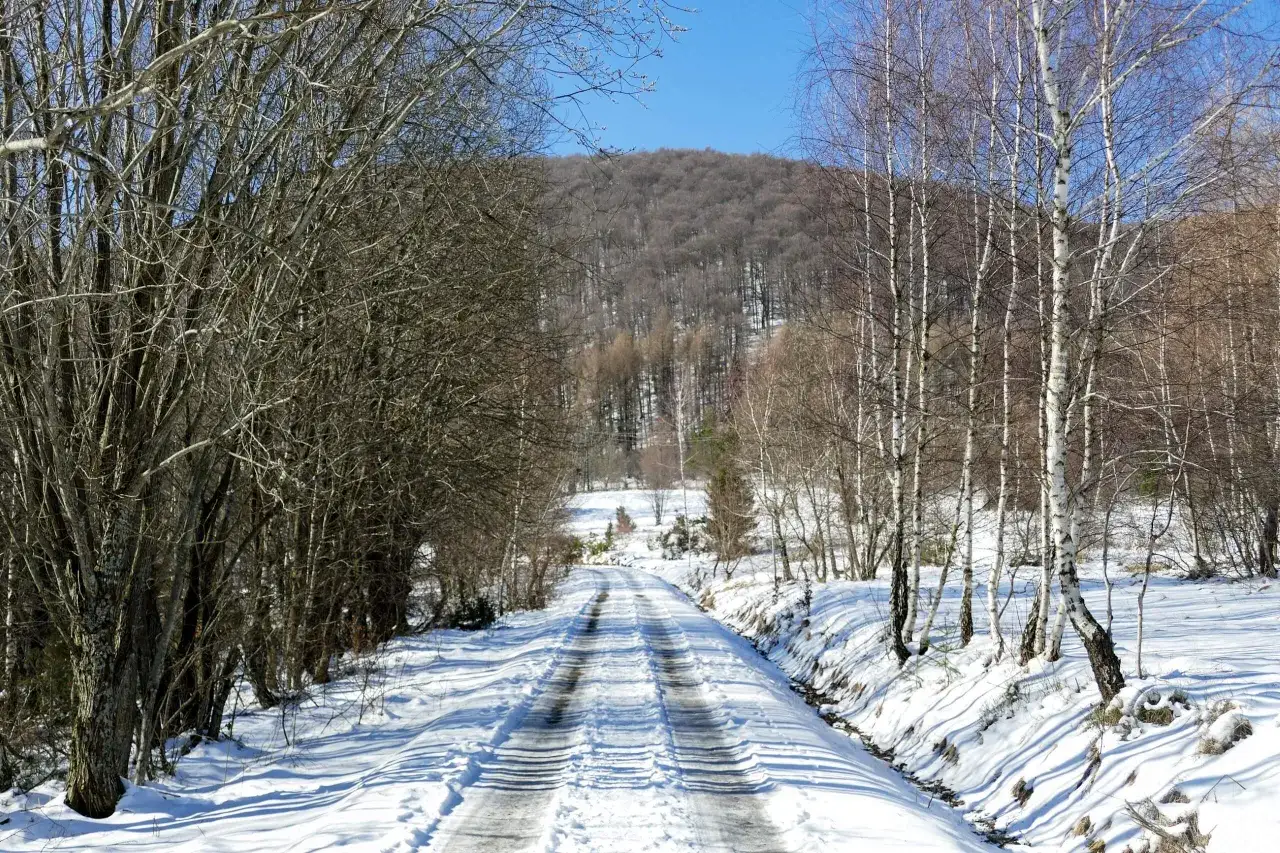 Śnieżna droga prowadzi do bacówki pod Małą Rawką. Wokół zimowy krajobraz z nagimi drzewami i ośnieżonymi wzgórzami.