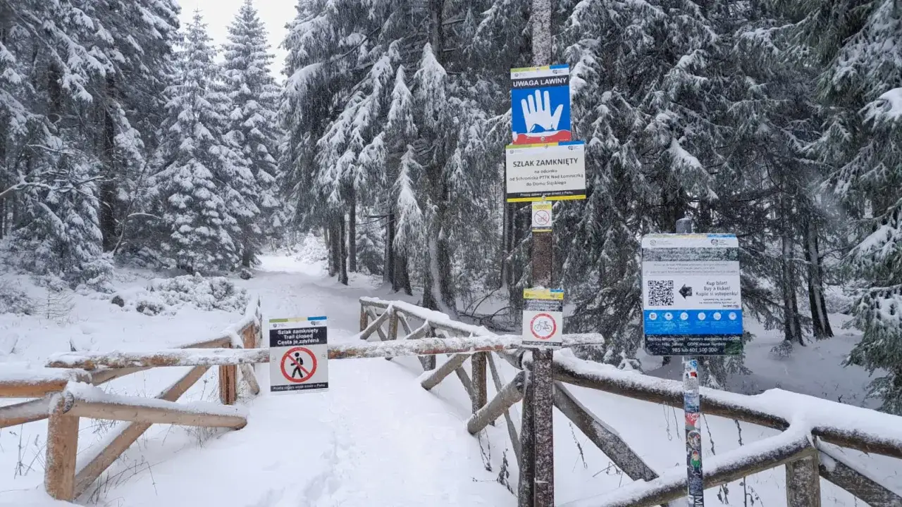 Zimowy las w Karkonoszach. Znaki informują, że szlak jest zamknięty z powodu zagrożenia lawinowego.