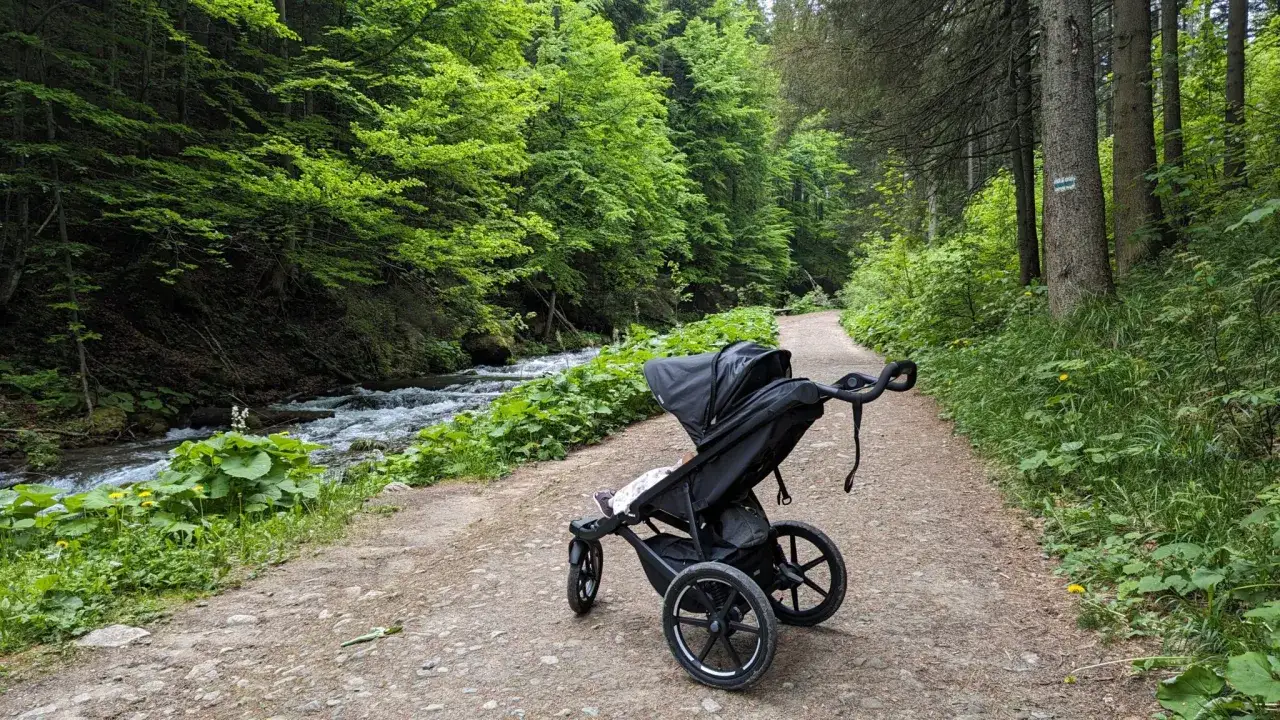Wózek czeka na ścieżce w górskim lesie, gotowy na wyprawę, gdzie w góry z dzieckiem w wózku to czysta przyjemność.