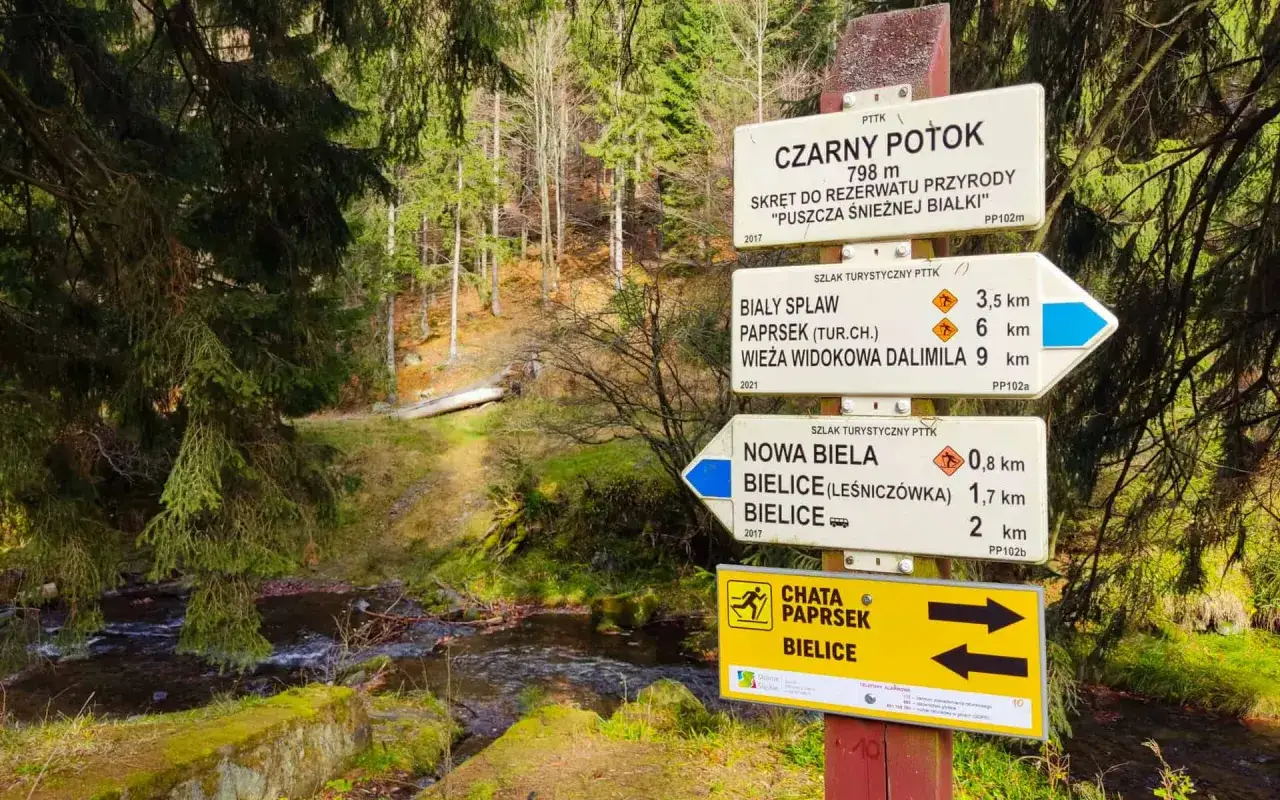 Znaki szlaków turystycznych PTTK. Czy kolory szlaków oznaczają trudność? Na tabliczkach widać różne kolory i symbole, wskazujące kierunki i odległości.
