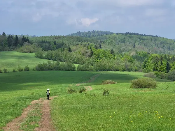 Wędrowiec na ścieżce przez zielone łąki Beskidu, w oddali lasy i wzgórza, jakby patrzył na świat z bacówki.