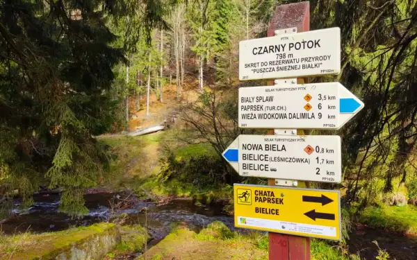 Znaki szlaków turystycznych w Tatrach: czarny, biały i niebieski wskazują różne trasy. Na zdjęciu widać drogowskazy do Czarnego Potoku, Białego Splawu i Nowej Bieli.